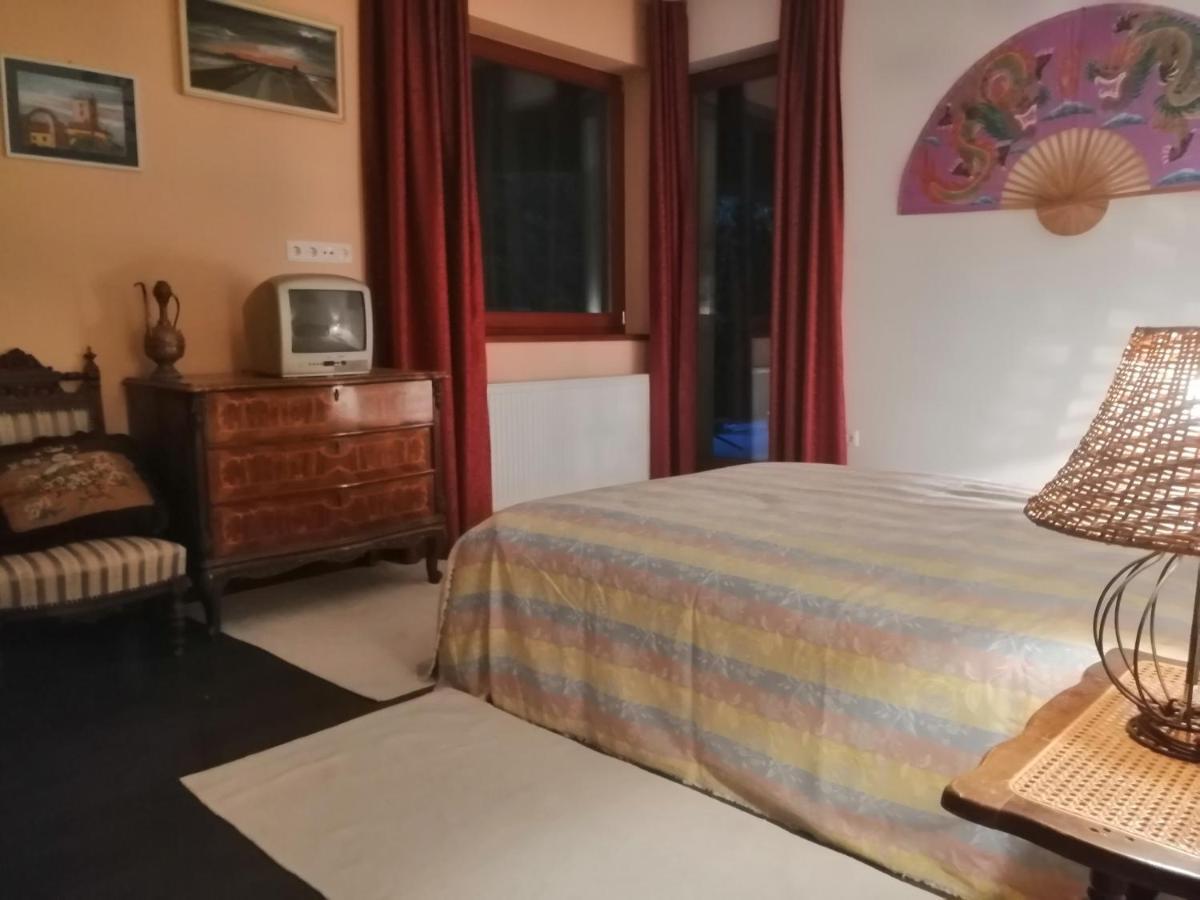 Vizaknai Apartmanhaz เซแกชแฟเฮร์วาร์ ภายนอก รูปภาพ